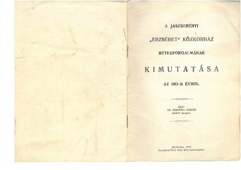 Erzsebet_korhaz_betegforgalom_1913.pdf