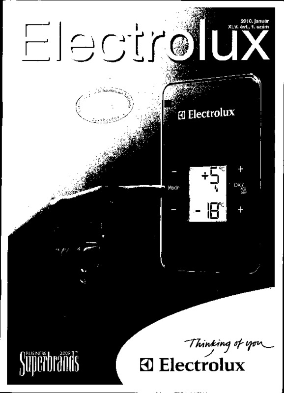 Electrolux_2010.pdf