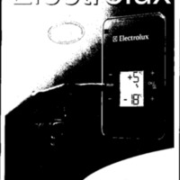 Electrolux_2010.pdf